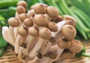 5種恢復(fù)免疫力超強(qiáng)的食物，可惜很多人不知道！ 