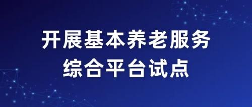 民政部 國家數(shù)據(jù)局關(guān)于組織開展基本養(yǎng)老服務(wù)綜合平臺(tái)試點(diǎn)的通知